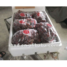 yan nan hong ti raisins fruits